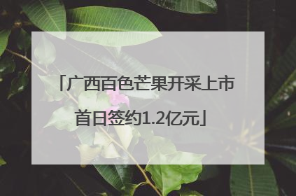 广西百色芒果开采上市 首日签约1.2亿元