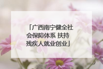 广西南宁健全社会保障体系 扶持残疾人就业创业