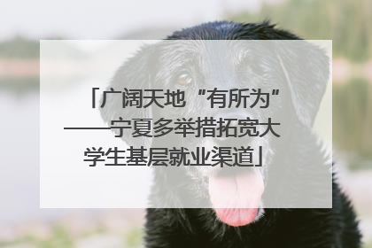 广阔天地“有所为”——宁夏多举措拓宽大学生基层就业渠道