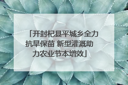开封杞县平城乡全力抗旱保苗 新型灌溉助力农业节本增效