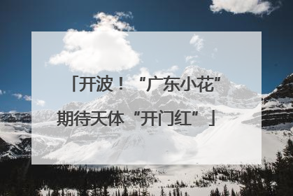 开波！“广东小花”期待天体“开门红”