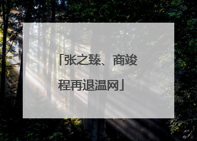 张之臻、商竣程再退温网