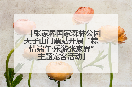 张家界国家森林公园天子山门票站开展“粽情端午·乐游张家界”主题宠客活动