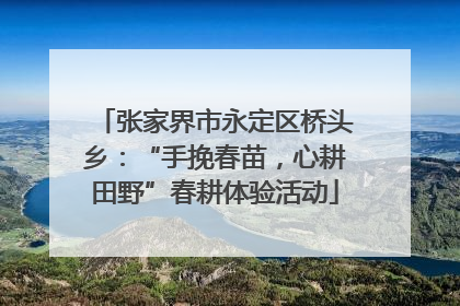 张家界市永定区桥头乡：“手挽春苗，心耕田野”春耕体验活动
