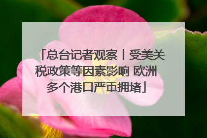 总台记者观察丨受美关税政策等因素影响 欧洲多个港口严重拥堵