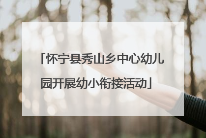 怀宁县秀山乡中心幼儿园开展幼小衔接活动