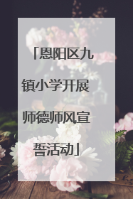 恩阳区九镇小学开展师德师风宣誓活动