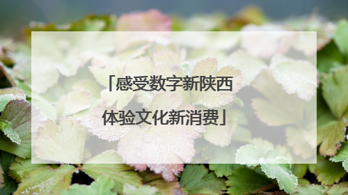 感受数字新陕西 体验文化新消费