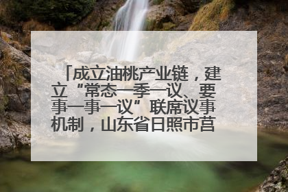 成立油桃产业链，建立“常态一季一议、要事一事一议”联席议事机制，山东省日照市莒县果庄镇——13个党小组“全周期”育果