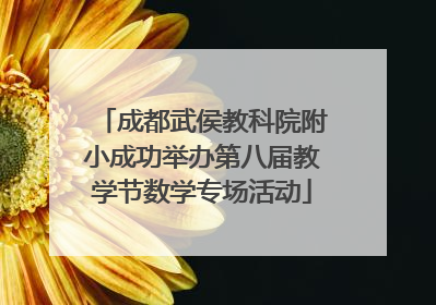 成都武侯教科院附小成功举办第八届教学节数学专场活动