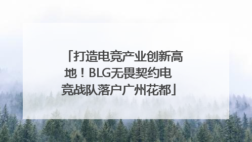 打造电竞产业创新高地！BLG无畏契约电竞战队落户广州花都