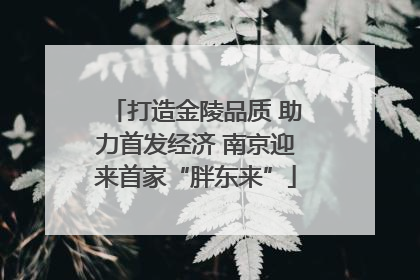 打造金陵品质 助力首发经济 南京迎来首家“胖东来”