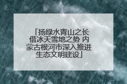 扬绿水青山之长 借冰天雪地之势 内蒙古根河市深入推进生态文明建设