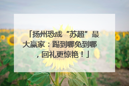 扬州恐成“苏超”最大赢家：踢到哪免到哪，回礼更惊艳！