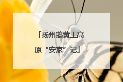 扬州鹅黄土高原“安家”记