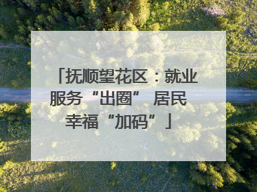 抚顺望花区：就业服务“出圈” 居民幸福“加码”