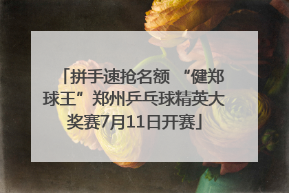 拼手速抢名额 “健郑球王”郑州乒乓球精英大奖赛7月11日开赛