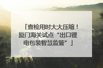 查检用时大大压缩！厦门海关试点“出口锂电包装智慧监管”