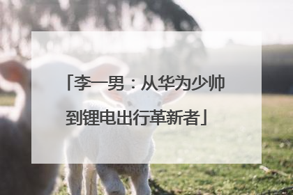 李一男：从华为少帅到锂电出行革新者