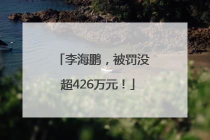 李海鹏，被罚没超426万元！
