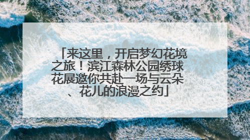 来这里，开启梦幻花境之旅！滨江森林公园绣球花展邀你共赴一场与云朵、花儿的浪漫之约
