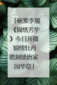 杨紫李现《锦绣芳华》今日开播 锦绣牡丹镌刻盛唐家国华章