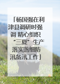 杨国强在利津县调研时强调 精心组织“三夏”生产 落实落细防汛备汛工作
