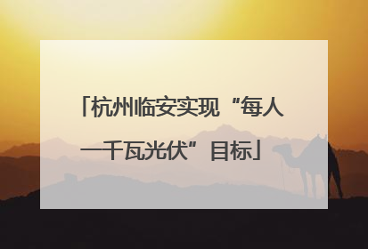 杭州临安实现“每人一千瓦光伏”目标