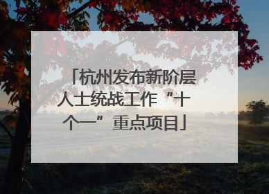 杭州发布新阶层人士统战工作“十个一”重点项目