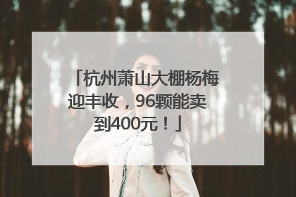 杭州萧山大棚杨梅迎丰收，96颗能卖到400元！