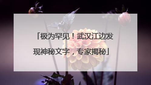 极为罕见！武汉江边发现神秘文字，专家揭秘