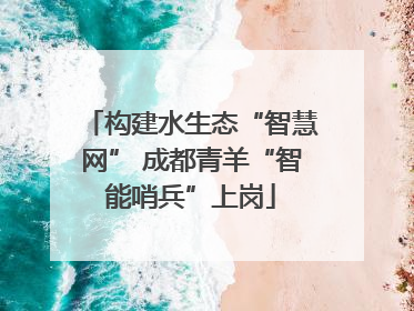 构建水生态“智慧网” 成都青羊“智能哨兵”上岗