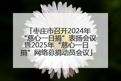 枣庄市召开2024年“慈心一日捐”表扬会议暨2025年“慈心一日捐”网络募捐动员会议