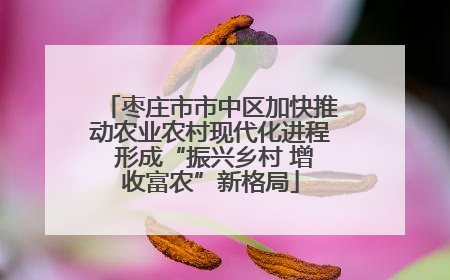 枣庄市市中区加快推动农业农村现代化进程 形成“振兴乡村 增收富农”新格局