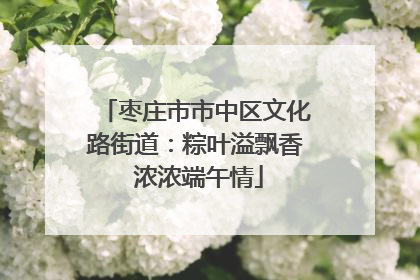 枣庄市市中区文化路街道：粽叶溢飘香 浓浓端午情