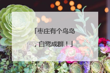 枣庄有个鸟岛，白鹭成群！
