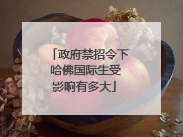 政府禁招令下 哈佛国际生受影响有多大