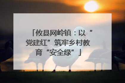 攸县网岭镇：以“党建红”筑牢乡村教育“安全绿”