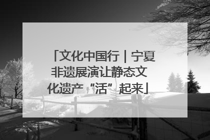 文化中国行｜宁夏 非遗展演让静态文化遗产“活”起来
