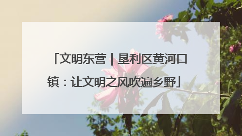 文明东营｜垦利区黄河口镇：让文明之风吹遍乡野
