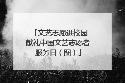 文艺志愿进校园 献礼中国文艺志愿者服务日（图）