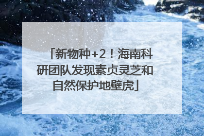新物种+2！海南科研团队发现素贞灵芝和自然保护地壁虎