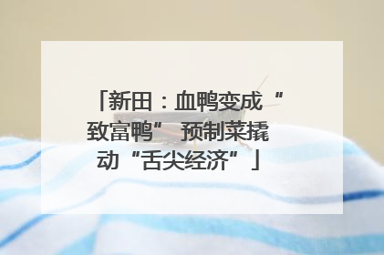 新田：血鸭变成“致富鸭” 预制菜撬动“舌尖经济”