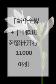 新华全媒+｜中欧班列累计开行110000列