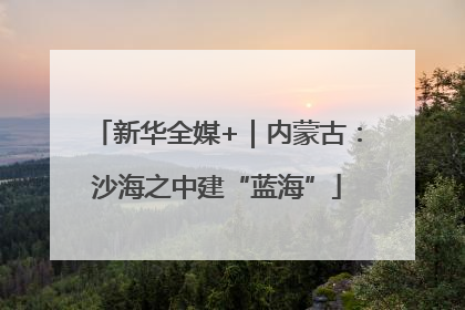 新华全媒+｜内蒙古：沙海之中建“蓝海”