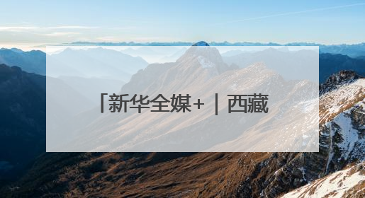 新华全媒+｜西藏：黑颈鹤家族高原湿地喜添“萌宝”