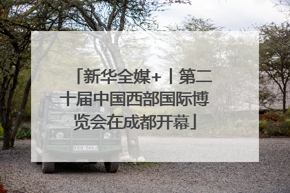 新华全媒+丨第二十届中国西部国际博览会在成都开幕