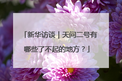 新华访谈｜天问二号有哪些了不起的地方？