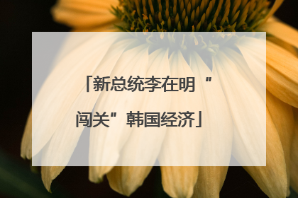 新总统李在明“闯关”韩国经济
