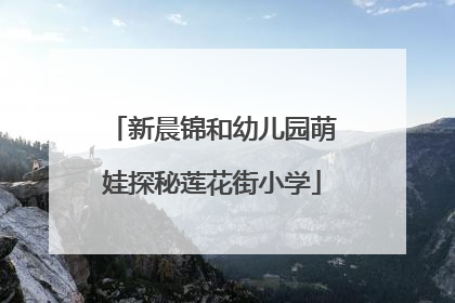 新晨锦和幼儿园萌娃探秘莲花街小学